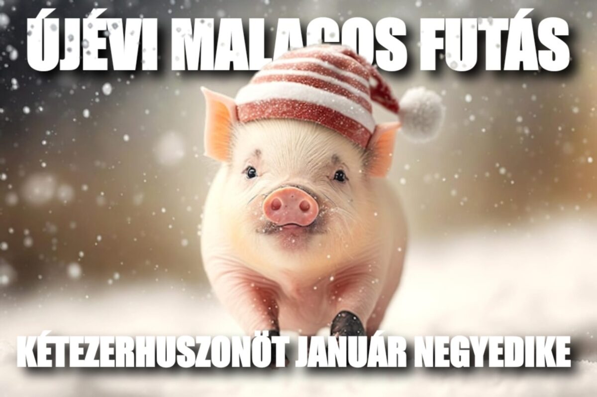 Újévi Malacos Futás 2025 - Népliget