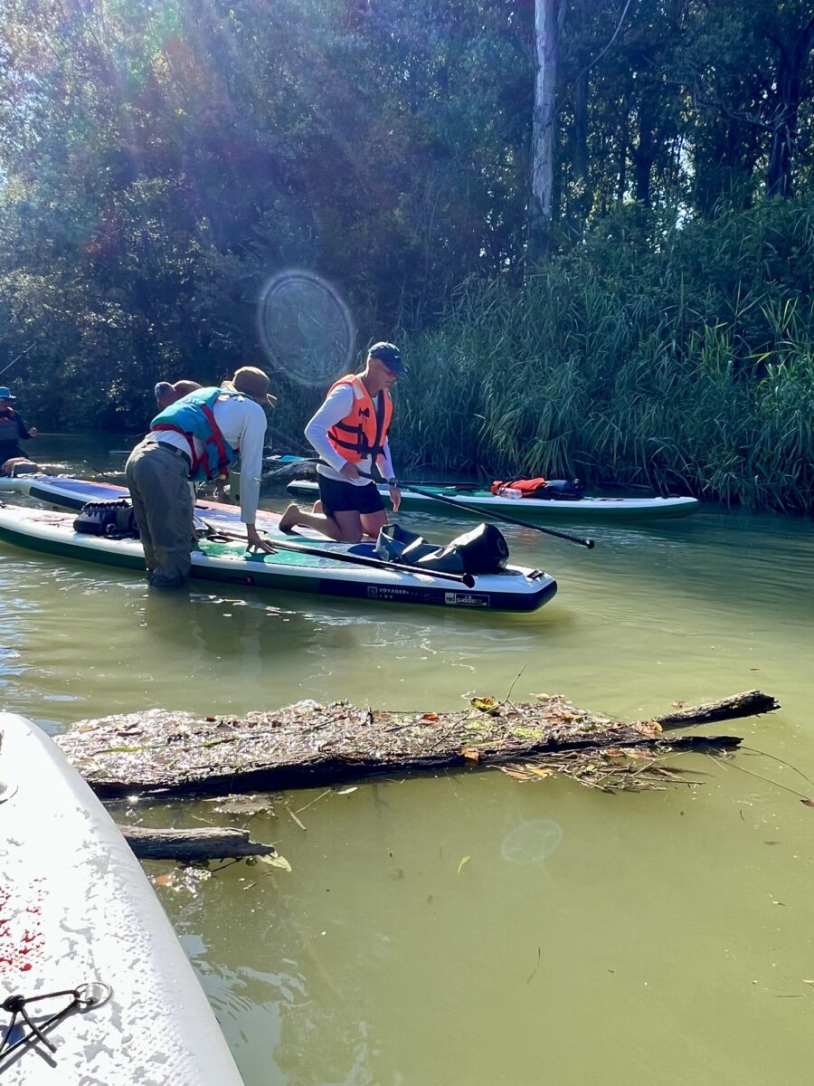 SUP túra a Szigetközben – haladóknak