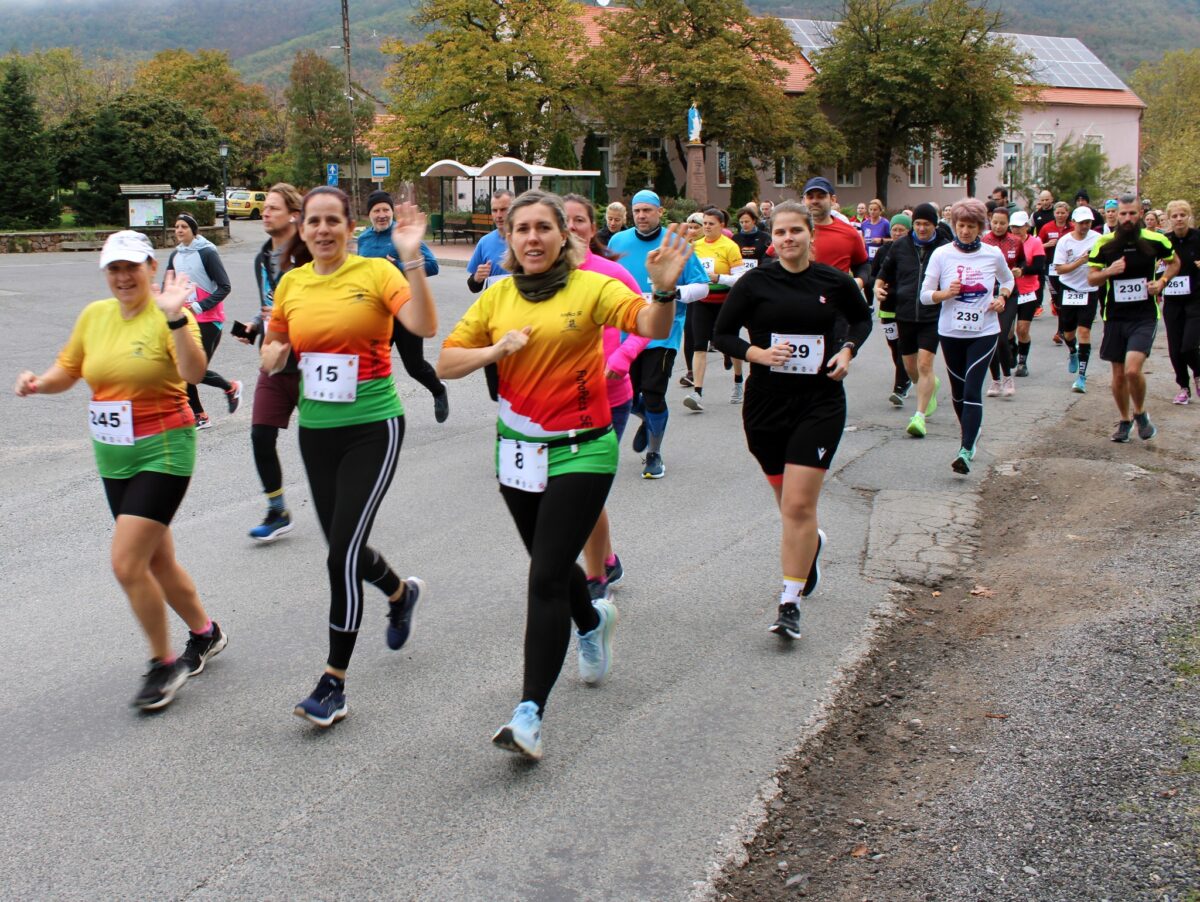 VIII. Szőlős-Cserkút körök Félmaraton