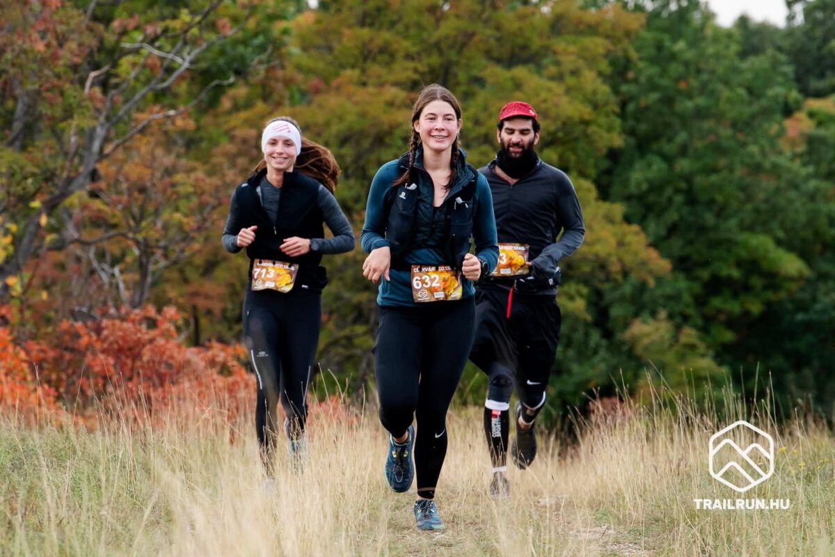 Októberi adrenalin-löket: maraton Miskolcon, trail a Vértesben, bringakör Pannonhalmán vagy úszás Budapesten - te melyiket választod?