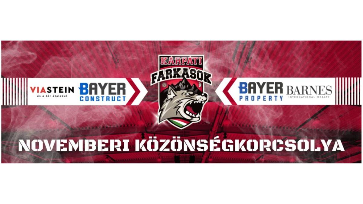 NOVEMBERI KÖZÖNSÉGKORCSOLYA ÉRDEN