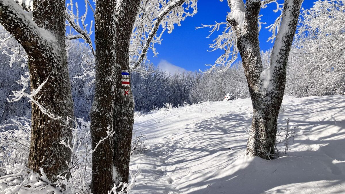 Börzsöny Vulkántúra 2025