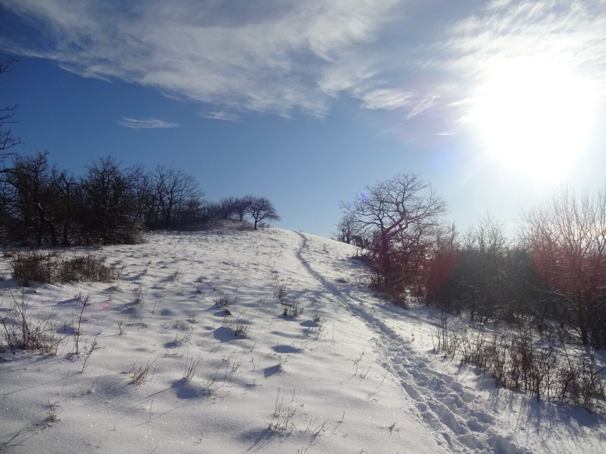 FEL A CSÓVÁNYOSRA! – Téli túra a Börzsöny legmagasabb csúcsára