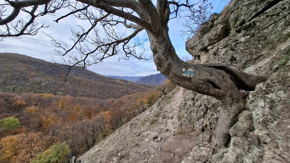 Az őszi erdő varázslatos színeiben túráztunk