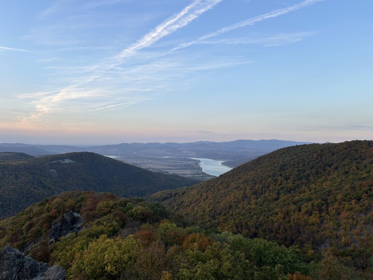 Vadálló Trail 2026 - Körözős terepfutó verseny