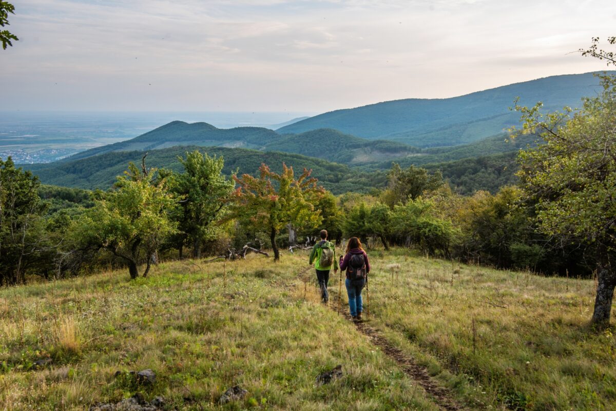 Hűvösebb tavaszi kilométerek: triatlon, terep és félmaratonok április közepén!