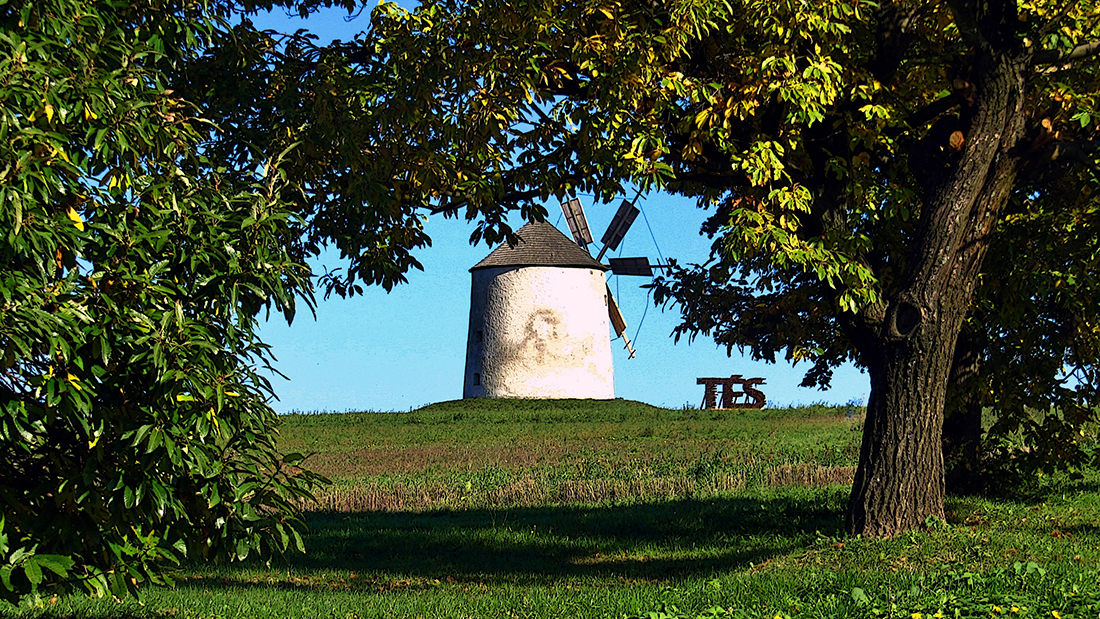 XII. Tés - Római-fürdő gyalogos teljesítménytúra
